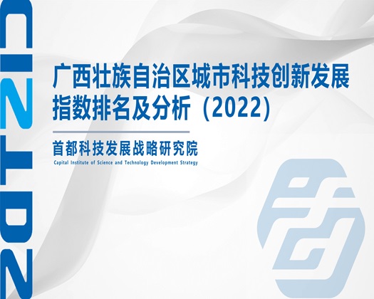 在线被艹欧美【成果发布】广西壮族自治区城市科技创新发展指数排名及分析（2022）